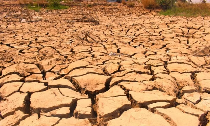 Xây dựng Báo cáo dự báo El Nino 2026-2027, nhận định ban đầu về nguy cơ tác động  